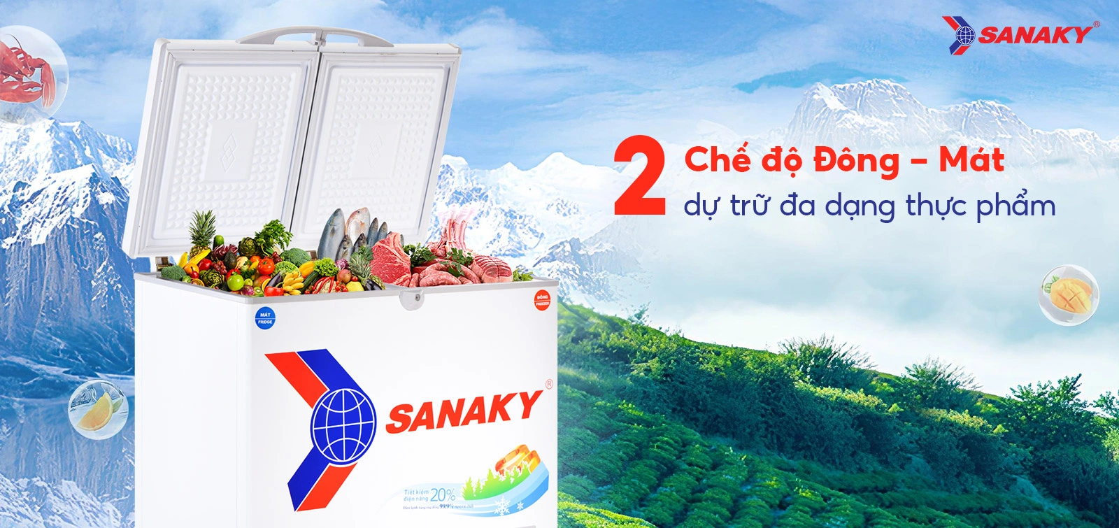 2 chế độ Đông - Mát dự trữ đa dạng thực phẩm Tủ đông mát 195 lít Sanaky VH-2599W1 với 2 chế độ Đông - Mát dự trữ đa dạng thực phẩm