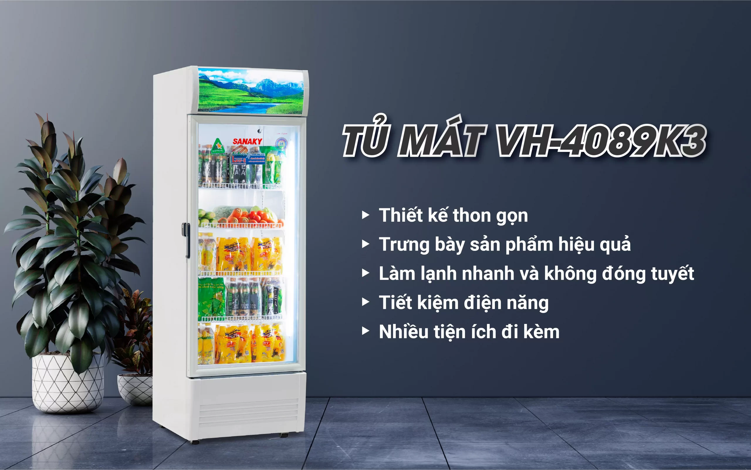 Tủ Mát Sanaky VH-4089K3 Tủ mát 400 lít Sanaky Inverter VH-4089K3 trưng bày thực phẩm