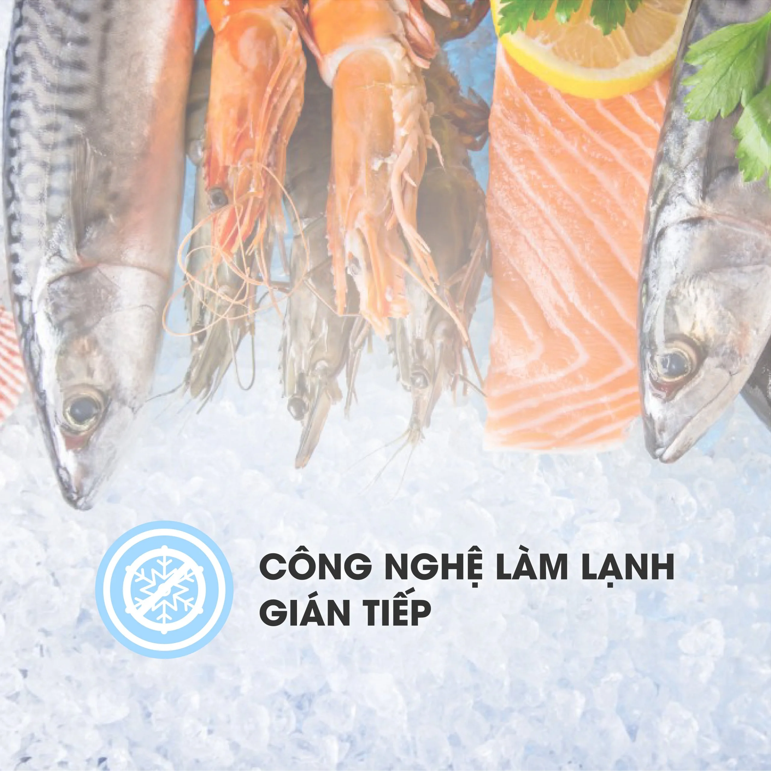 Công nghệ làm lạnh gián tiếp trên tủ mát 590 lít Sanaky VH-768K